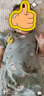 巴厘小豬寶寶衣服女嬰兒公主風(fēng)哈衣夏季背心哈衣新生兒無袖薄款女寶連體衣 鴨鴨出游記 66cm 曬單實(shí)拍圖