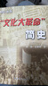 “文化大革命”簡史（增訂新版）中共黨史出版社 湖北新華書店旗艦店正版書籍 