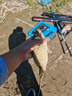 西部風(fēng)老壇甜薯玉米窩料野釣鯽鯉草青魚打窩釣魚餌料發(fā)酵底窩料 老壇甜薯玉米800g 曬單實拍圖
