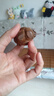 仙作美假一賠萬【鐘馗賜?！啃∪~楨楠金絲楠木枯木老料雕刻手把件擺件 曬單實拍圖