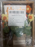 美旻橘色泡芙花朵毛線(xiàn)花手工花針織編帶原木框掛件擺件送禮教師節 曬單實(shí)拍圖