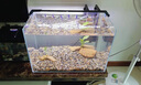 2025新款超白玻璃直角魚缸辦公客廳魚缸溪流缸造景缸生態(tài)缸烏龜缸 【廠家】6個厚30*30*30送魚缸墊  收貨務必拍開箱視頻 曬單實拍圖