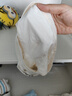 棉奇熊男童內(nèi)褲莫代爾兒童短褲冰絲褲平角褲男孩夏季薄款4條裝G086-XXL 曬單實(shí)拍圖