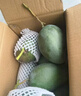 京地達攀枝花凱特芒果 9斤巨無霸單果650g+肉厚無絲新鮮水果源頭直發(fā) 曬單實拍圖