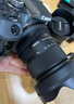 適馬（SIGMA）18-50mm F2.8 DC DN｜Contemporary 恒定大光圈標準變焦人像鏡頭 適馬1850半畫幅微單相機掛機鏡頭 佳能RF卡口 官方標配【主圖配件+0元限時升級套餐一】 曬單實拍圖