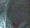 紅蜻蜓（RED DRAGONFLY）短袖T恤男純棉圓形立體品牌標(biāo)識休閑時尚百搭圓領(lǐng)上衣打底衫黑2XL 曬單實拍圖