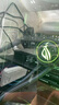 西部數(shù)據(jù)（WD）SSD固態(tài)硬盤 SN8100 M.2接口(NVMe協(xié)議PCIe5.0*4)AI電腦配件 讀速14900MB/s 旗艦級SN8100 2TB 曬單實拍圖