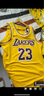 耐克（NIKE）NBA官方湖人詹姆斯球衣男籃球服速干23號運動背心 DN2009-733 L 曬單實拍圖