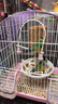 南啵丸喂鳥器鸚鵡防濺鳥食盒自動(dòng)喂食器虎皮牡丹玄鳳小鳥戶外陽(yáng)臺(tái)野外 鳥用喂食器+500ml裝糧瓶+接殼盒+掛鉤 曬單實(shí)拍圖