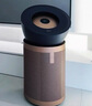 戴森（DYSON）BP04空氣凈化器 大面積凈化異味過敏原除甲醛  濾除花粉寵物毛發(fā) 醫(yī)護(hù)級(jí) 寵護(hù)認(rèn)證 【藍(lán)金色】 曬單實(shí)拍圖