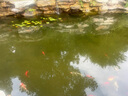 夢(mèng)多福結(jié)婚禮物送新人實(shí)用新婚訂婚禮物送新娘閨蜜朋友擺件陪嫁結(jié)婚用品 【要幸福鴨】碗筷餐具套裝 曬單實(shí)拍圖