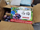 庾豐當(dāng)季新鮮現(xiàn)摘西梅 新鮮水果整箱 孕婦藍(lán)蜜法蘭西梅 團(tuán)購送禮 5斤裝（凈果4.5斤）甄選果王 顆顆甄選 產(chǎn)地直發(fā) 曬單實(shí)拍圖
