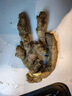 京鮮生 云南小黃姜 5斤裝 生姜 老姜 新鮮蔬菜 源頭直發(fā) 曬單實(shí)拍圖