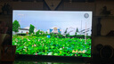 海信電視55E5N Pro 55英寸 DeepSeek AI電視 512分區(qū)Mini LED 240Hz超高刷 國家補貼20% 曬單實拍圖