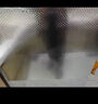 美納美廚房貼紙防油貼紙加厚耐高溫櫥柜墊灶臺防水鋁箔紙抽屜自粘防潮墊 寬61cm*長(cháng)10m【方格加厚款】 曬單實(shí)拍圖