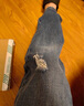 Levi's李維斯男士541復(fù)古時尚直筒牛仔褲18181-0742 深藍(lán)色 34 (34) 曬單實拍圖