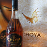 CHOYA【原瓶進(jìn)口】【禮盒】【南高梅】俏雅蝶矢黑金本格梅酒14度700ml 曬單實(shí)拍圖
