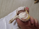 京喜自營大蒜頭紫白皮大蒜京東買菜生鮮調(diào)料即食涼拌大蒜 【優(yōu)選】凈重 1斤 單果3.5-5cm 曬單實(shí)拍圖