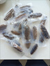 宮壹大連即食海參1斤15-25只 固形物超75%底播刺參鮮活海參加工免泡發(fā) 曬單實拍圖