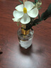 汀南溪雨香薰精油臥室內(nèi)干花擴香擺件家用酒店房間香水香氛廁所衛(wèi)生間除臭 曬單實拍圖