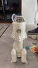 南音大號(hào)兒童火箭玩具男孩益智拼裝磁吸航天宇宙飛船飛機(jī)模型生日禮物 長(zhǎng)征5號(hào)拼裝火箭（贈(zèng)嫦娥探 曬單實(shí)拍圖