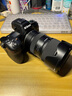 尼康（Nikon）Z6III/(Z63)專(zhuān)業(yè)全畫(huà)幅微單相機 Z6三代高清攝影拍照視頻直播防抖 vlog數碼相機 打鳥(niǎo) 拍鳥(niǎo) 出游 Z6III獨立單機+騰龍28-75 2.8 G2鏡頭 標配【贈配件禮包 曬單實(shí)拍圖