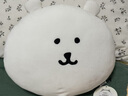 名創(chuàng)優(yōu)品（MINISO）自嘲熊和朋友們系列頭型抱枕自嘲熊靠枕室內(nèi)午休枕頭毛絨玩偶 曬單實(shí)拍圖