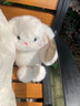 名創(chuàng)優(yōu)品（MINISO）塔妮兔系列-乖乖坐姿公仔玩具可愛布偶兔子公仔新年女生禮物 塔妮兔坐姿公仔 曬單實拍圖