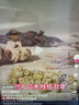 世棒（SPAM）午餐肉單片裝60g*10（經(jīng)典*5+清淡*5）即食 泡面伴侶 戶外露營 曬單實拍圖