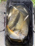 大紅狗PE線魚(yú)線主線線組套裝成品全套釣魚(yú)線綁好pe臺(tái)釣釣魚(yú)線組 7.2米【PE連接+合金八字環(huán)】4卷 2.5號(hào) 曬單實(shí)拍圖