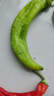 山東青椒尖椒薄皮辣椒虎皮辣椒現摘鮮青辣椒時(shí)令蔬菜農場(chǎng)直發(fā) 2斤 2斤 曬單實(shí)拍圖