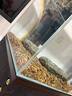 BESSN貝森金晶五線超白玻璃魚缸客廳裸缸家用水草溪流缸6mm50*30*35cm 曬單實拍圖