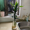 玻璃花瓶透明植物插花瓶水培容器大花瓶裝飾客廳擺件 【熱銷】透明水波紋（17*5.5*8） 1個(gè)裝 曬單實(shí)拍圖