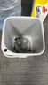 佳幫手茶水桶8.6L廢水濾茶桶茶渣茶葉泡茶水桶排水廚房干濕分離垃圾桶 曬單實拍圖
