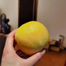 山姆伯伯山東蒙陰黃油桃子【JD閃送】黃金蜜毛桃新鮮水果脆甜桃子 A+級甄選果丨黃金產(chǎn)區(qū)【爆甜】 凈重4.5-5斤【巨劃算-85%選擇】 曬單實拍圖