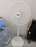 先科（SAST）電風扇/落地扇/臺式風扇/臺地兩用/家用風扇/交流定頻/15葉大風量風扇  FD-269 曬單實拍圖