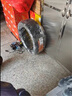 米其林（MICHELIN）汽車輪胎/電動車新能源輪胎 235/45ZR18 98Y T1競馳PILOT SPORT 4 曬單實拍圖