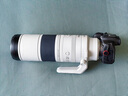 佳能（Canon）RF200-800mm F6.3-9 IS USM 遠(yuǎn)攝變焦鏡頭 打鳥裝備 曬單實拍圖