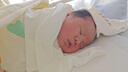 bebebus 金標茶樹精華超薄透氣紙尿褲M36片（6-11kg）尿不濕新生嬰男女寶 曬單實拍圖
