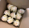 雙溝大曲金獎(jiǎng) 高線光瓶酒 46度 500mL*9瓶 整箱裝 濃香型白酒 糧食酒  曬單實(shí)拍圖