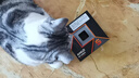 AMD 銳龍 5 9600X處理器(R5) 4nm 6核12線程 加速頻率至高5.4GHz盒裝CPU 暢玩無畏契約/CSGO 曬單實拍圖
