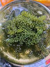海葡萄兒童即食海葡萄植物魚子醬海藻涼拌菜鹽漬水葡萄爆珠漿海草 6包(送蘸料) 每包100g包含水 曬單實拍圖