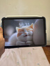 閃魔適用iPad9/8/7鋼化膜 2021/2020/2019保護(hù)膜10.2英寸第九代平板電腦貼膜全屏防摔抗指紋高清保護(hù)膜 曬單實(shí)拍圖