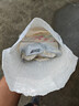 拉絲粉釣魚專用野釣強(qiáng)力拉大球超強(qiáng)拉個(gè)球魚餌小麥蛋白高純度袋裝 特級(jí)拉絲粉【1斤】 曬單實(shí)拍圖