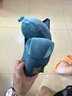 藍(lán)旅（TRAVEL BLUE）護(hù)頸枕旅行汽車高鐵飛機(jī)睡眠午休神器記憶棉u型枕 曬單實(shí)拍圖
