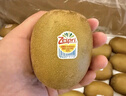 佳沛（zespri）新西蘭  陽光金奇異果巨大果22粒原箱 單果重約144-175g 獼猴桃 曬單實(shí)拍圖