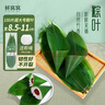 鮮窩窩 超大號粽葉100片 野生粽子葉寬粽葉新鮮箬葉端午節(jié)包粽子材料 曬單實拍圖