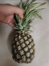特價金鉆鳳梨新鮮大果菠蘿整箱水果風(fēng)梨手撕現(xiàn)貨直發(fā)脆甜多汁鳳梨 大果1.8斤起 2-3個 凈重4.5斤 曬單實拍圖