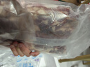 元牧希原切筋頭巴腦 凈重4斤 魯西黃牛肉谷飼清真燉煮烤肉燒烤食材生鮮 曬單實拍圖