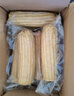 京鮮生東北白糯玉米250g*10棒 新鮮甜糯玉米棒真空包裝粘玉米 源頭直發(fā) 曬單實(shí)拍圖
